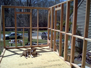 547582_177030139116961_1122641462_n